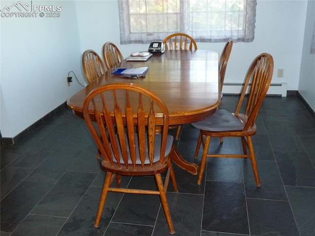 4307 Valli Vista Rd, Colorado Springs, CO 80915 - dining area with a baseboard radiator, plenty of natural light, and baseboards