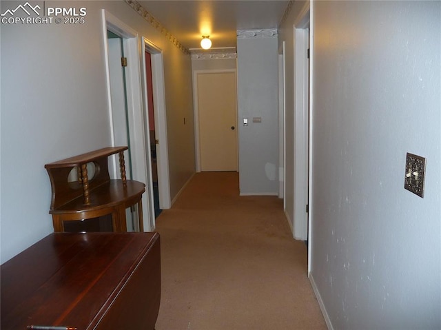 4307 Valli Vista Rd, Colorado Springs, CO 80915 - corridor with light carpet