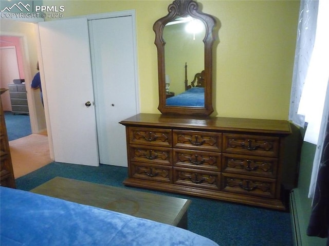 4307 Valli Vista Rd, Colorado Springs, CO 80915 - bedroom featuring carpet, a baseboard radiator, and a closet