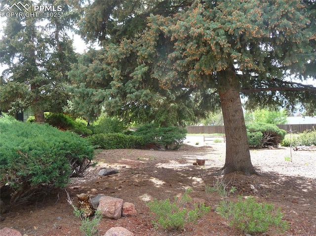 4307 Valli Vista Rd, Colorado Springs, CO 80915 - view of yard