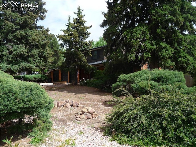 4307 Valli Vista Rd, Colorado Springs, CO 80915 - view of yard