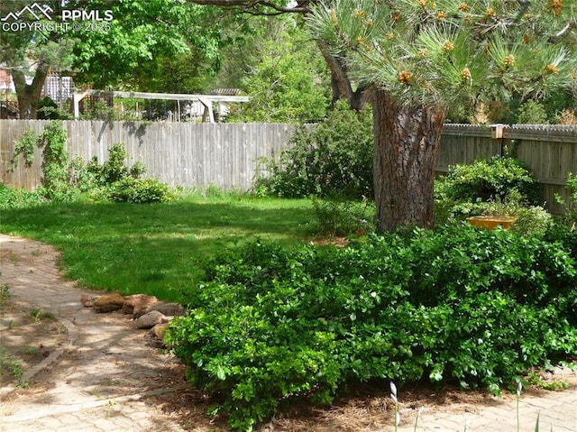 4307 Valli Vista Rd, Colorado Springs, CO 80915 - view of yard