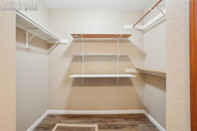 27 Stovel Cir, Colorado Springs, CO 80916 - walk in closet featuring wood finished floors