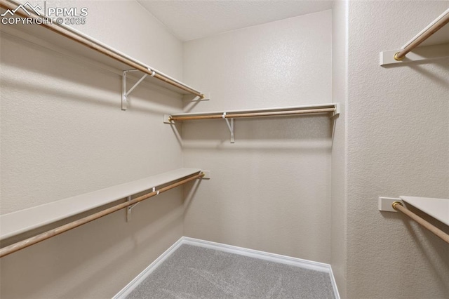 8059 Cinnamon Ct, Colorado Springs, CO 80927 - spacious closet with carpet