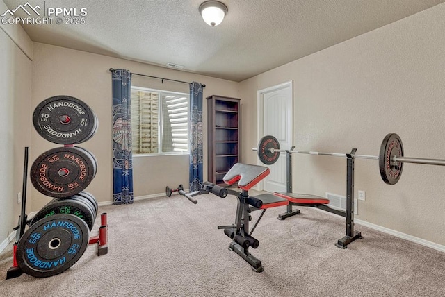 8055 Mount Hayden Dr, Colorado Springs, CO 80924 - exercise area featuring a textured ceiling, carpet flooring, and a textured wall