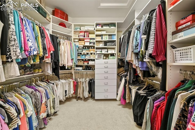 3479 Hill Cir, Colorado Springs, CO 80904 - walk in closet featuring attic access and carpet