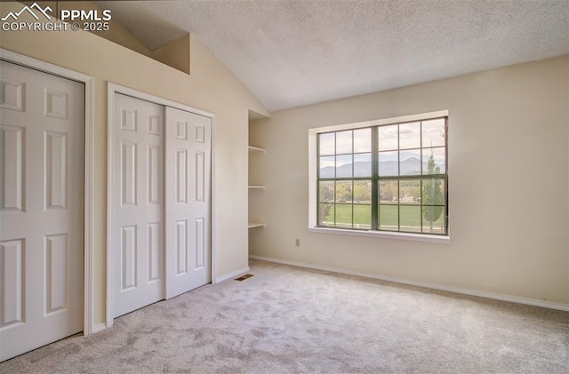 5573 Tamworth Dr, Colorado Springs, CO 80919 - unfurnished bedroom with carpet floors, lofted ceiling, a textured ceiling, baseboards, and a closet