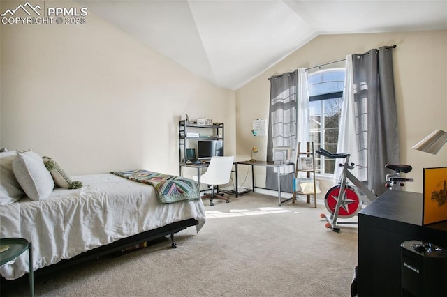 4219 Mesa Point, Colorado Springs, CO 80923 - bedroom featuring carpet and vaulted ceiling