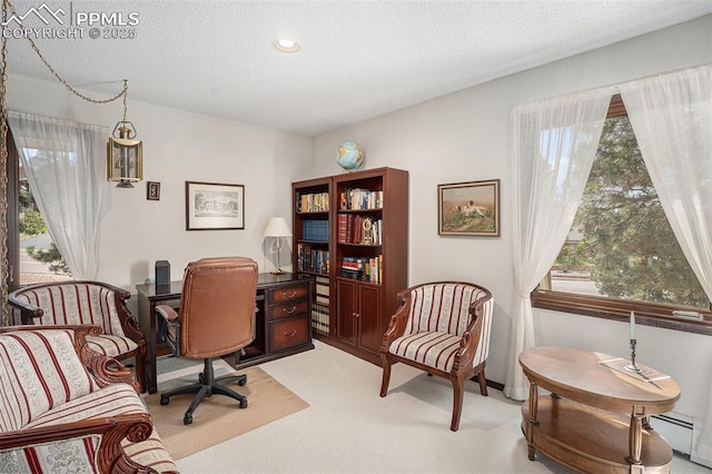 2518 Avondale Dr, Colorado Springs, CO 80917 - home office with light carpet, healthy amount of natural light, a textured ceiling, recessed lighting, and a baseboard radiator