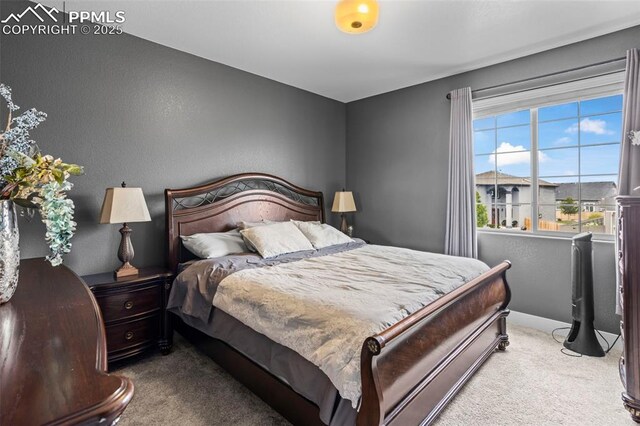 7656 Peachleaf Dr, Colorado Springs, CO 80925 - view of carpeted bedroom