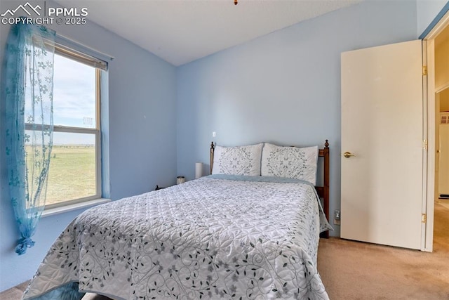 20040 Drennan Rd, Colorado Springs, CO 80928 - view of carpeted bedroom