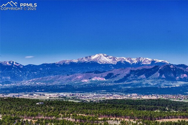 14745 Millhaven Pl, Colorado Springs, CO 80908 - view of mountain background