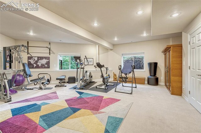 14745 Millhaven Pl, Colorado Springs, CO 80908 - exercise area featuring recessed lighting, carpet flooring, and baseboards
