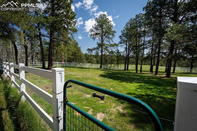 8610 Wildridge Rd, Colorado Springs, CO 80908 - view of yard