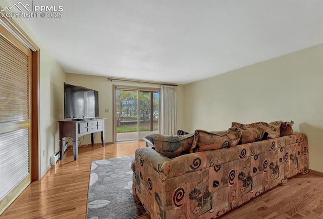 17580 Chipped Arrow Way, Monument, CO 80132 - living room featuring light wood-style flooring and baseboards