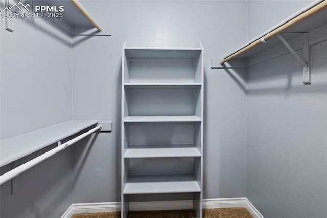 3730 Penny Pt Unit G, Colorado Springs, CO 80906 - walk in closet featuring carpet floors