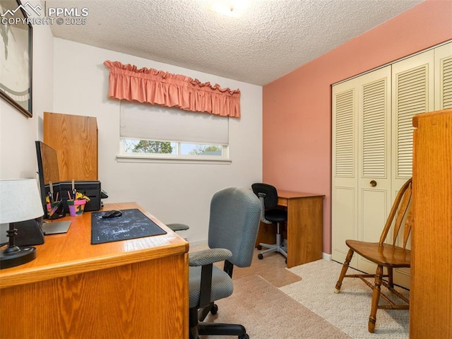 63 Radcliff Ln, Pueblo, CO 81005 - carpeted office space with a textured ceiling