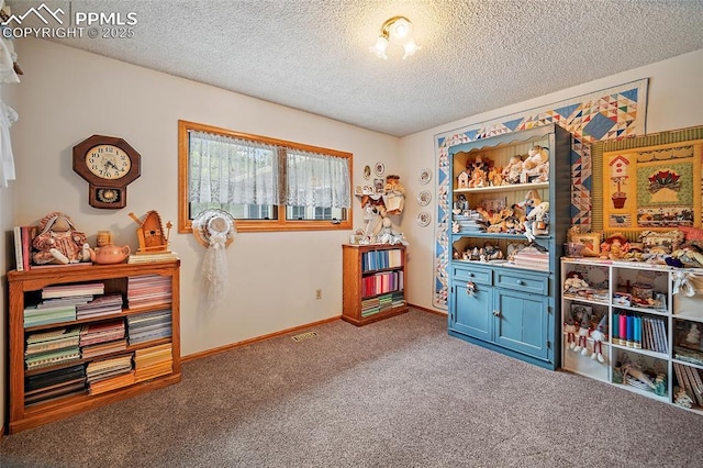 435 W Woodmen Rd, Colorado Springs, CO 80919 - playroom featuring carpet, a textured ceiling, and baseboards