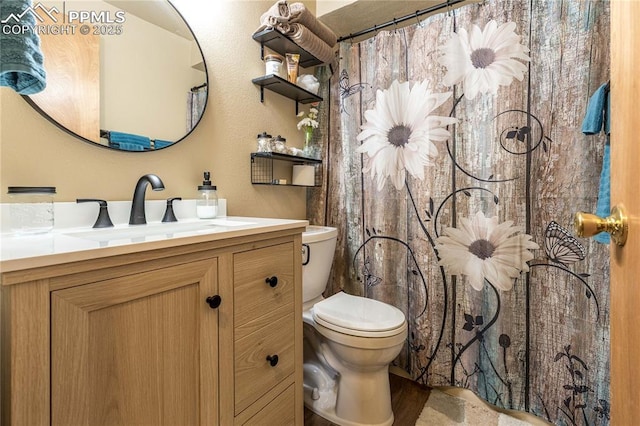 1369 Spring Valley Dr, Divide, CO 80814 - bathroom featuring toilet, vanity, and a shower with shower curtain