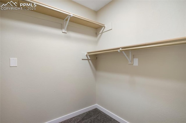 595 Wintery Cir, Colorado Springs, CO 80919 - walk in closet with dark carpet