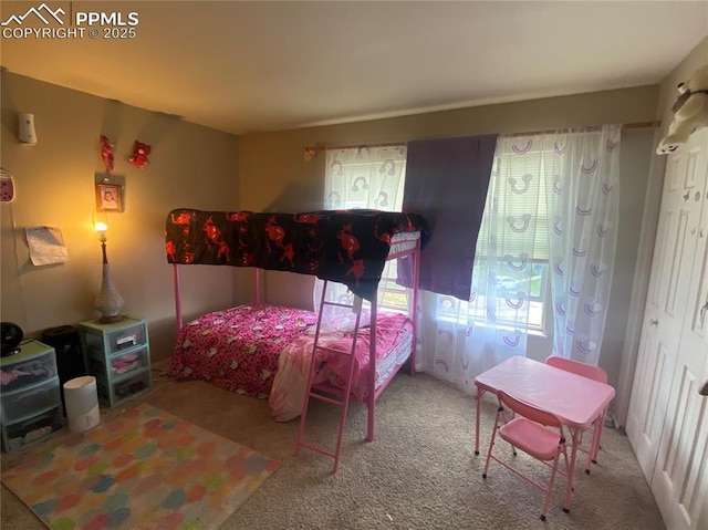 967 Brant Hollow Ct, Colorado Springs, CO 80916 - bedroom with carpet flooring
