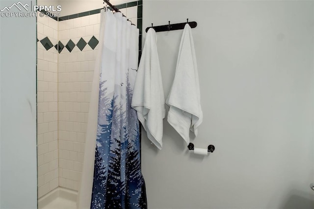 417 W Columbine Ave, Woodland Park, CO 80863 - bathroom with a shower stall