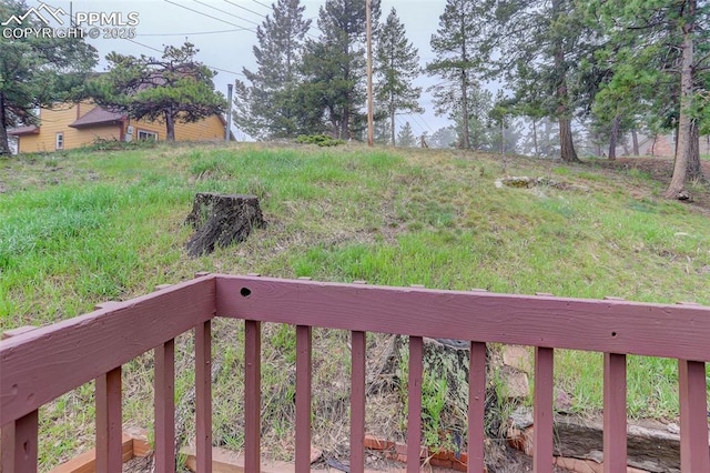 417 W Columbine Ave, Woodland Park, CO 80863 - view of yard