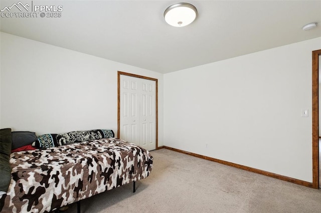 5630 Almont Ave, Colorado Springs, CO 80911 - bedroom featuring light carpet, baseboards, and a closet