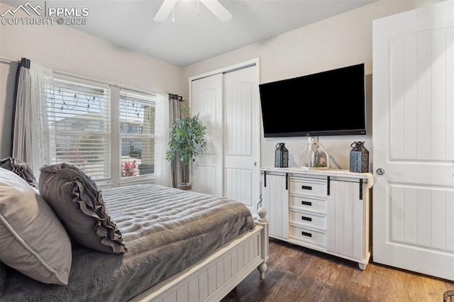 7198 Bigtooth Maple Dr, Colorado Springs, CO 80925 - bedroom featuring dark wood-style floors, a closet, and a ceiling fan