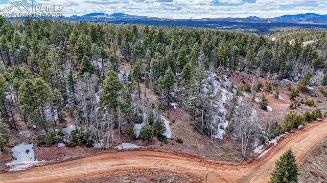 244 Spring Valley Ln, Florissant, CO 80816