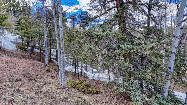244 Spring Valley Ln, Florissant, CO 80816