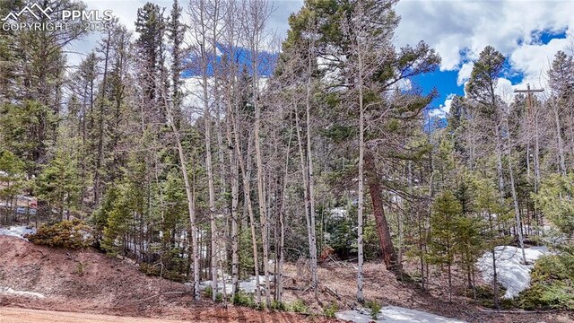 244 Spring Valley Ln, Florissant, CO 80816