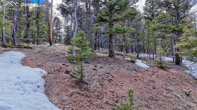 244 Spring Valley Ln, Florissant, CO 80816