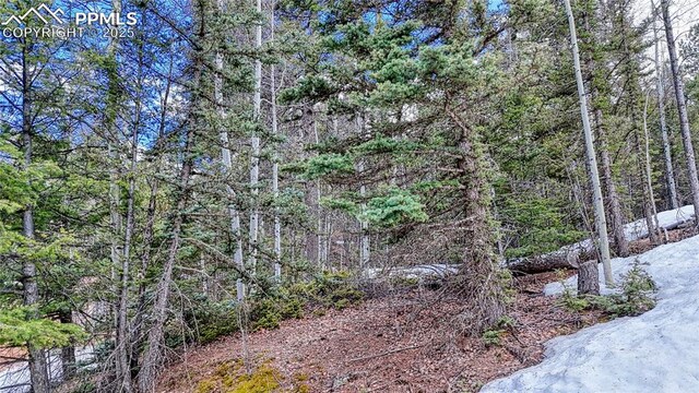 244 Spring Valley Ln, Florissant, CO 80816