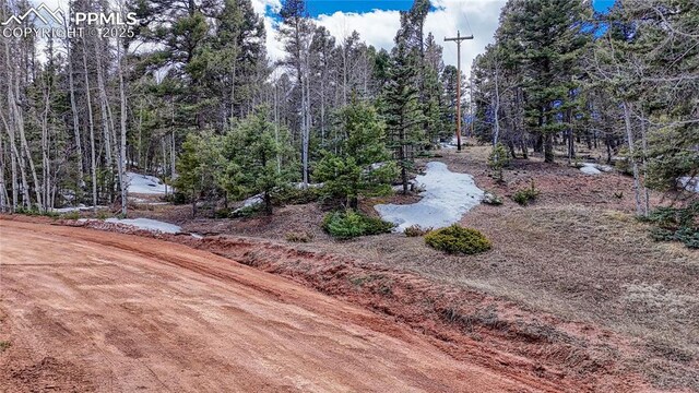 244 Spring Valley Ln, Florissant, CO 80816