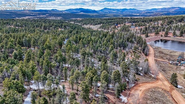 244 Spring Valley Ln, Florissant, CO 80816
