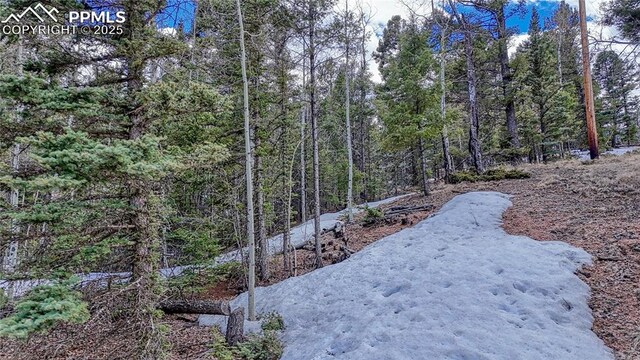 244 Spring Valley Ln, Florissant, CO 80816
