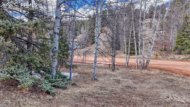 244 Spring Valley Ln, Florissant, CO 80816