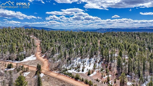 244 Spring Valley Ln, Florissant, CO 80816