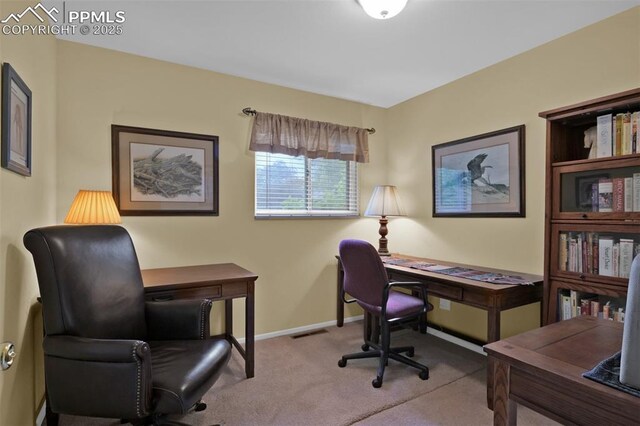 751 Crown Ridge Dr, Colorado Springs, CO 80904 - office space featuring carpet and baseboards