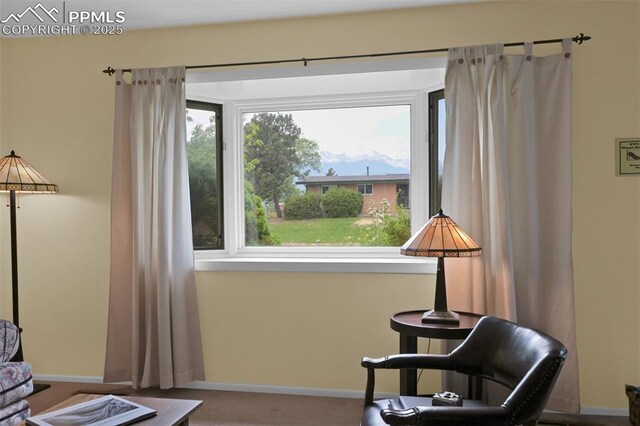 751 Crown Ridge Dr, Colorado Springs, CO 80904 - living area featuring baseboards and carpet