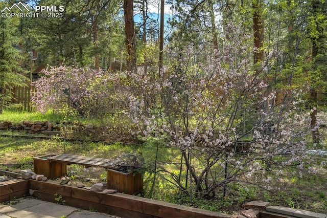 1015 Lafayette Ave, Woodland Park, CO 80863 - view of yard