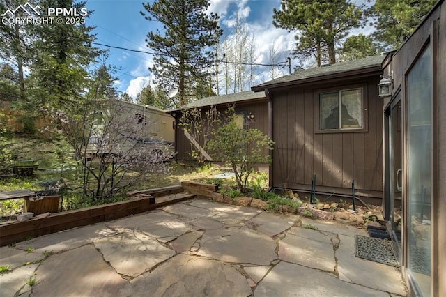 1015 Lafayette Ave, Woodland Park, CO 80863 - view of patio