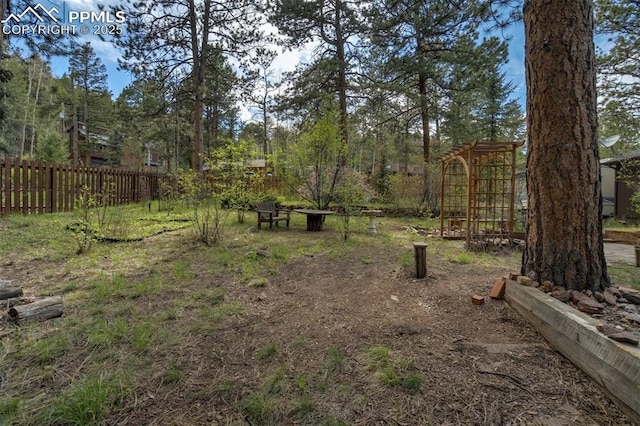 1015 Lafayette Ave, Woodland Park, CO 80863 - view of yard