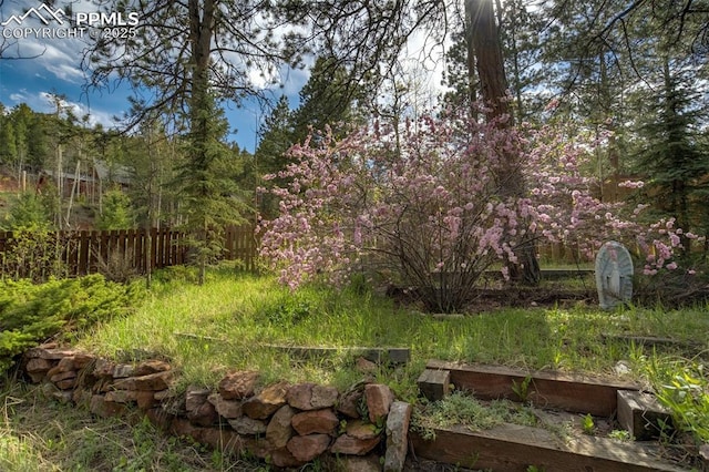 1015 Lafayette Ave, Woodland Park, CO 80863 - view of yard featuring a garden