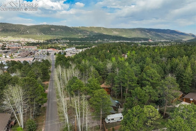 1015 Lafayette Ave, Woodland Park, CO 80863 - view of mountain backdrop featuring a forest