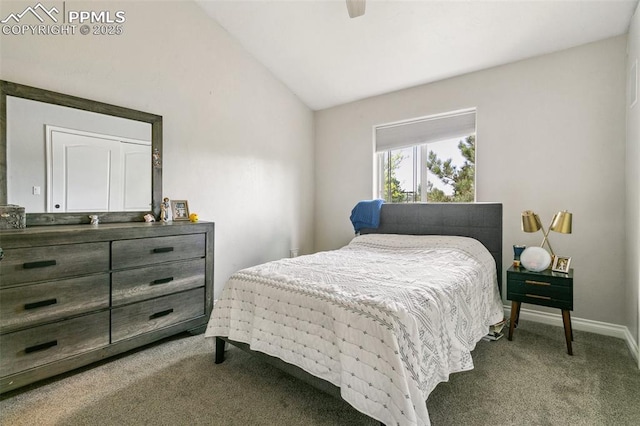 1502 York Rd Unit 103, Colorado Springs, CO 80918 - bedroom with carpet floors, lofted ceiling, baseboards, and a ceiling fan