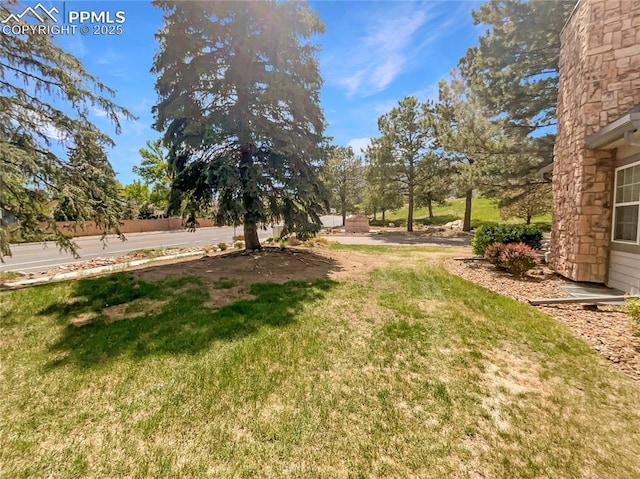 412 Cobblestone Dr, Colorado Springs, CO 80906 - view of grassy yard