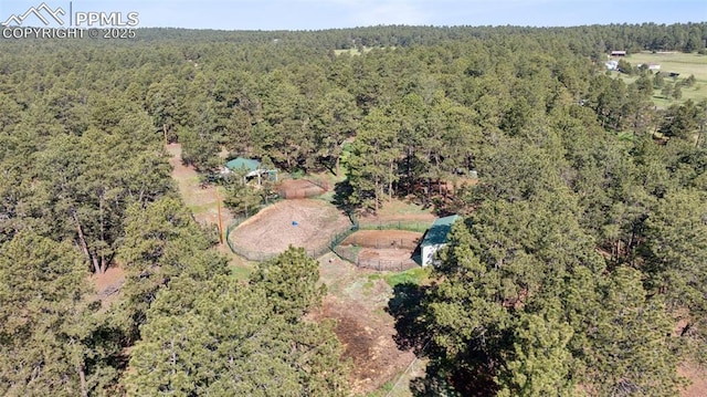 14810 Tanner Trl, Elbert, CO 80106 - bird's eye view of a forest