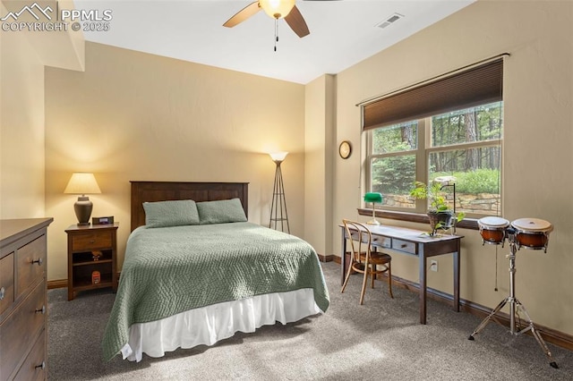 11720 Smokey Hill Grv, Colorado Springs, CO 80908 - carpeted bedroom with a ceiling fan and baseboards